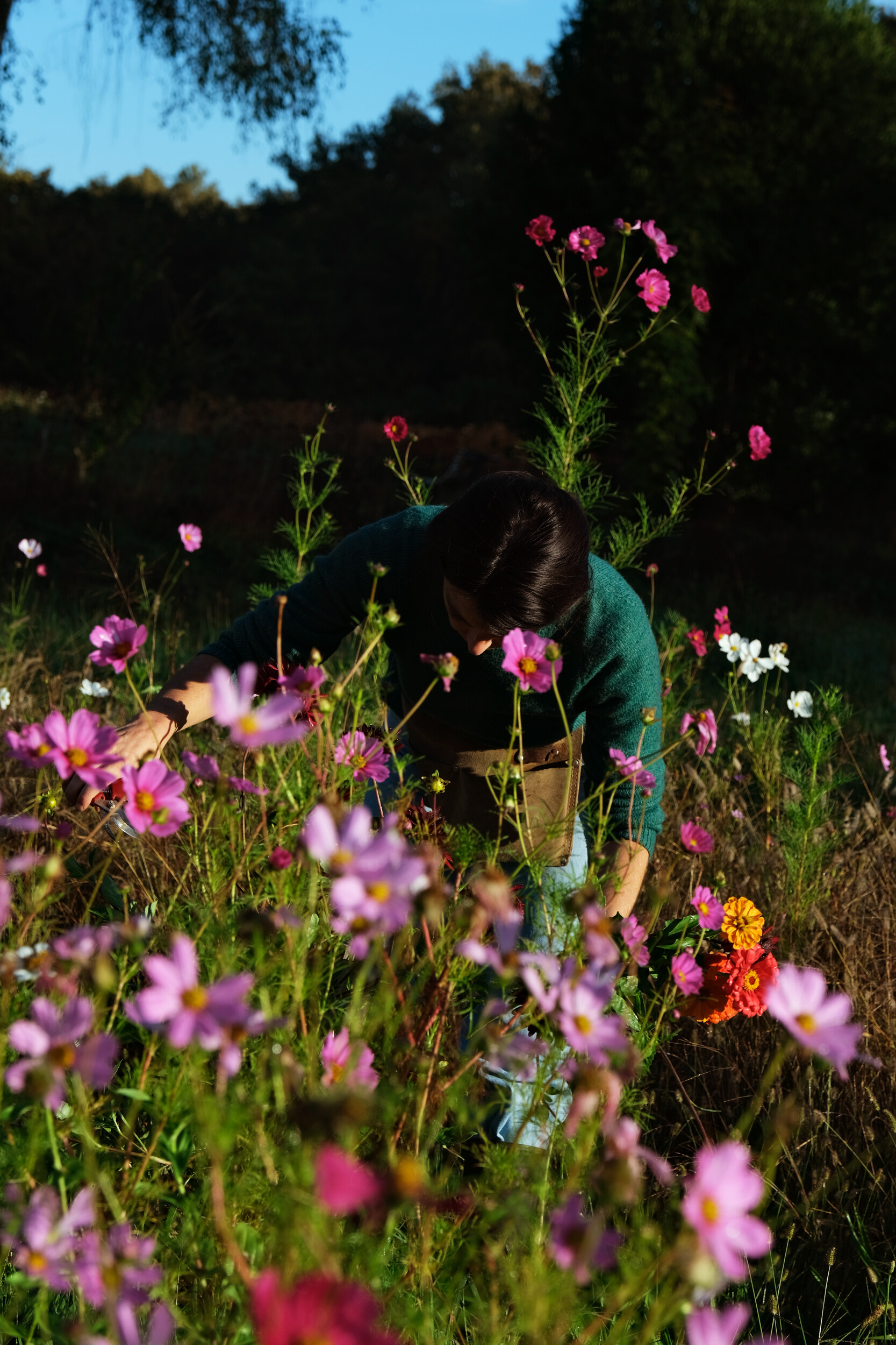 Cueillez vos fleurs et composez votre bouquet