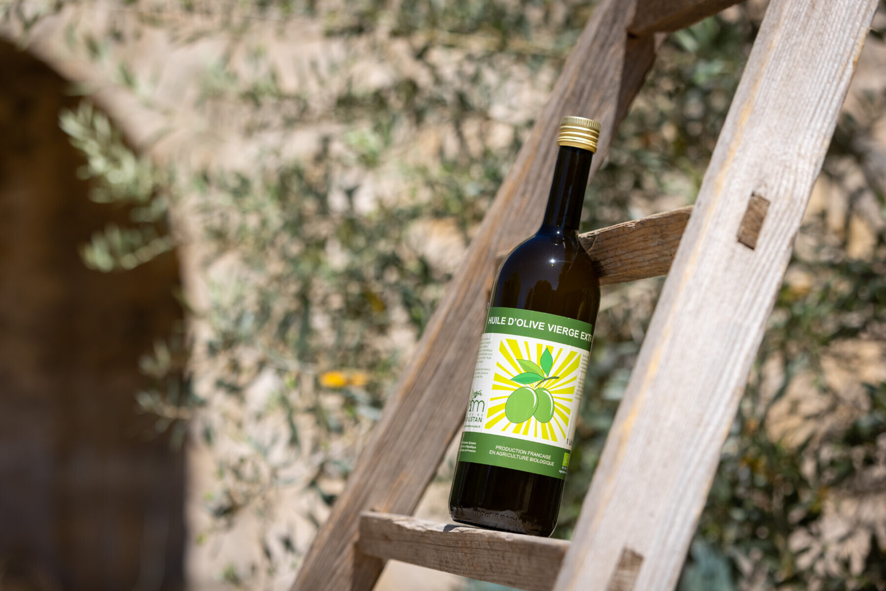 Découvrez l'oléiculture et dégustez des produits