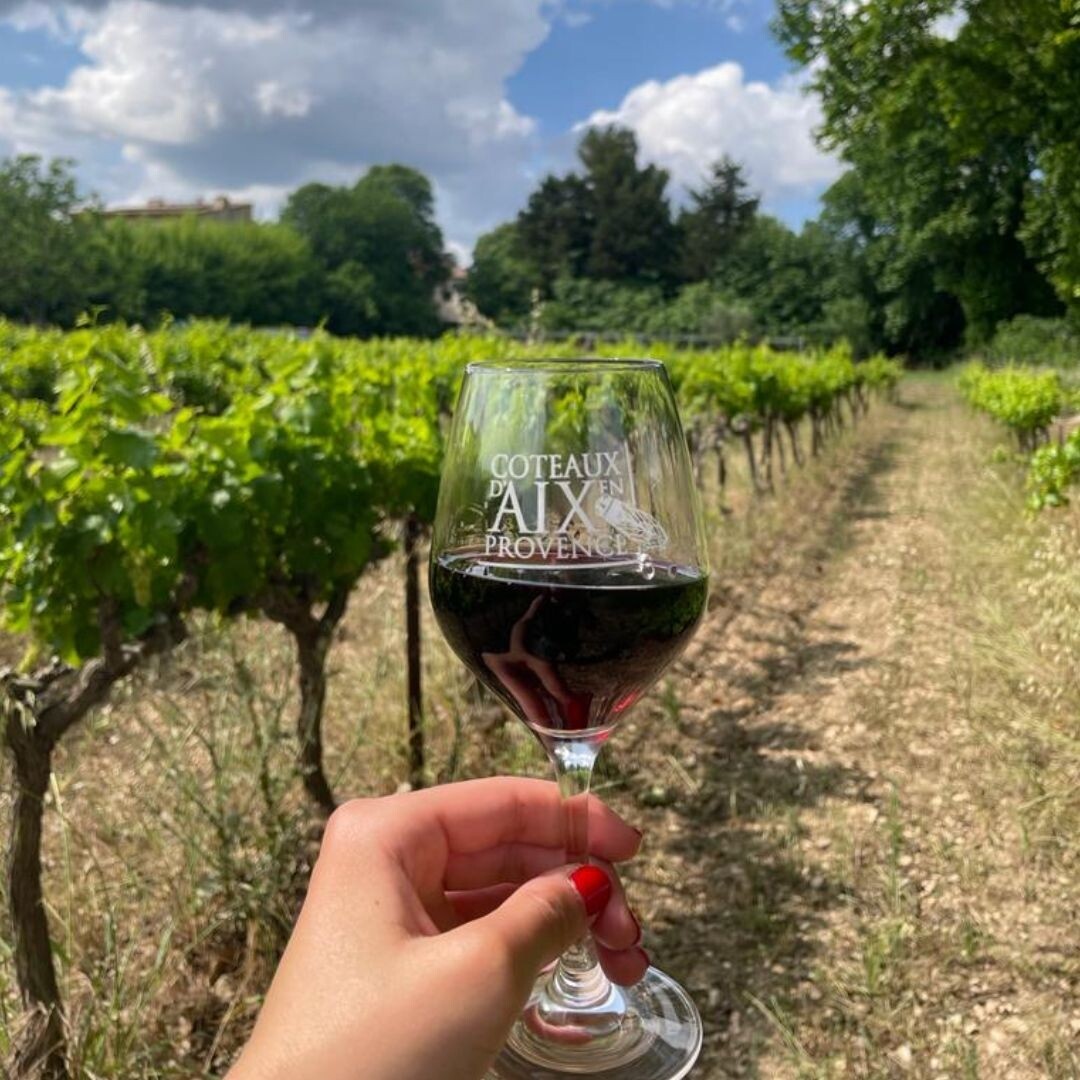 Visitez un domaine viticole et dégustez des vins