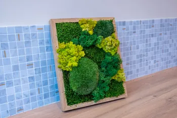 Créez votre tableau en végétaux stabilisés