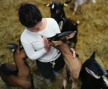 Vivez la vie d'un chevrier sur une demi-journée