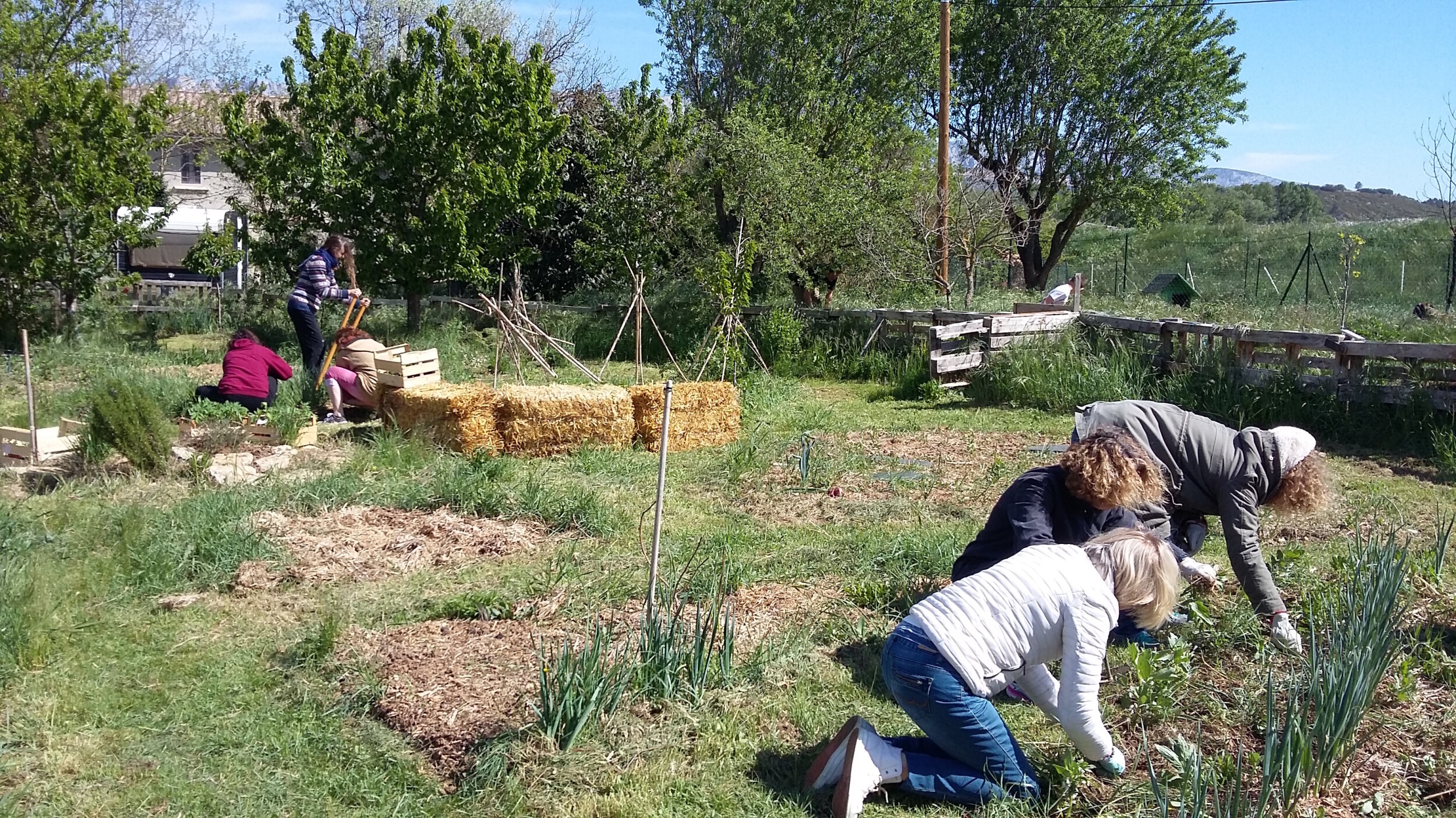 Initiez-vous à la permaculture sur une journée