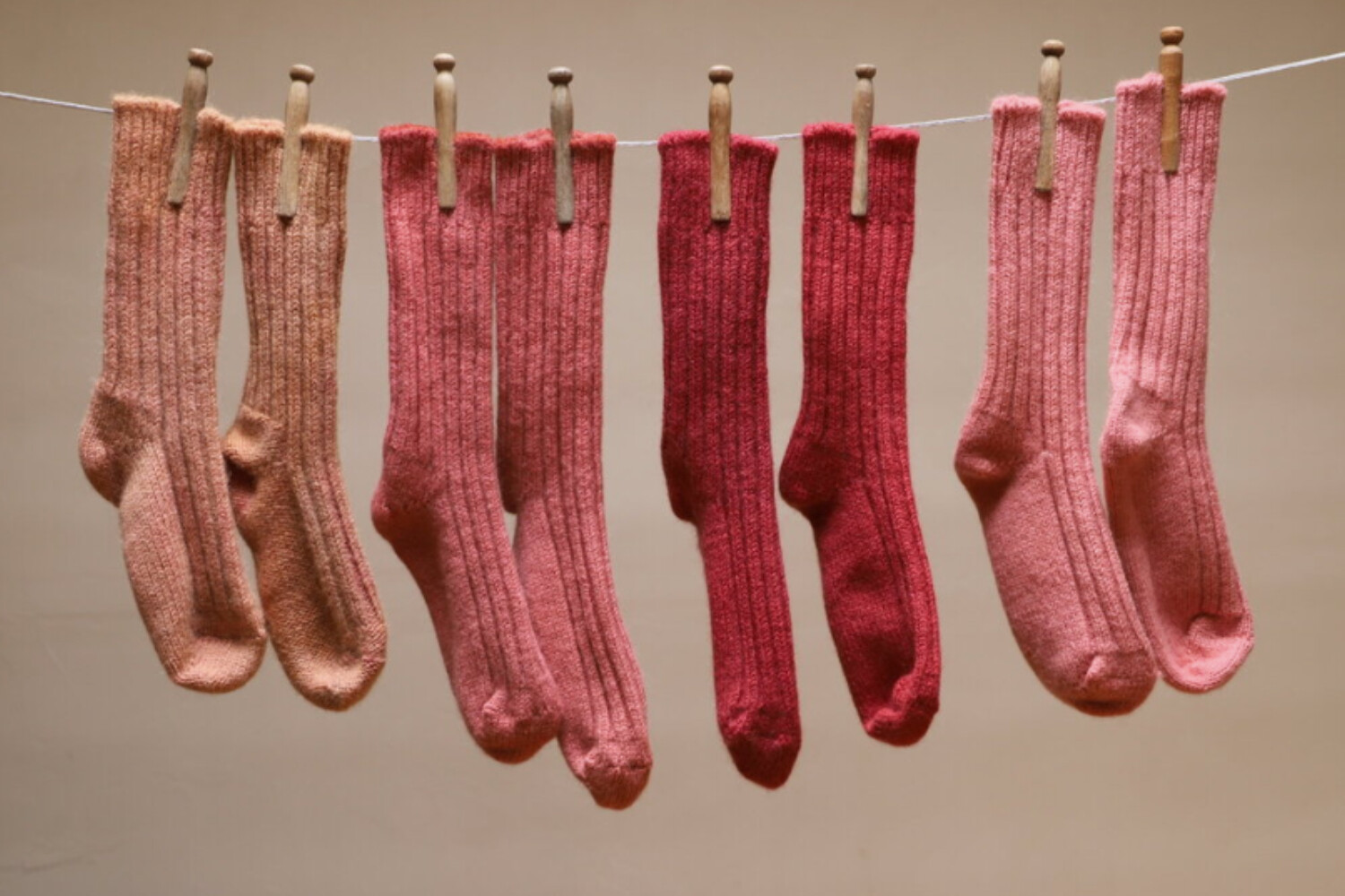 Initiez-vous à la teinture végétale