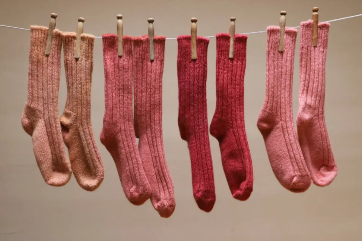 Initiez-vous à la teinture végétale