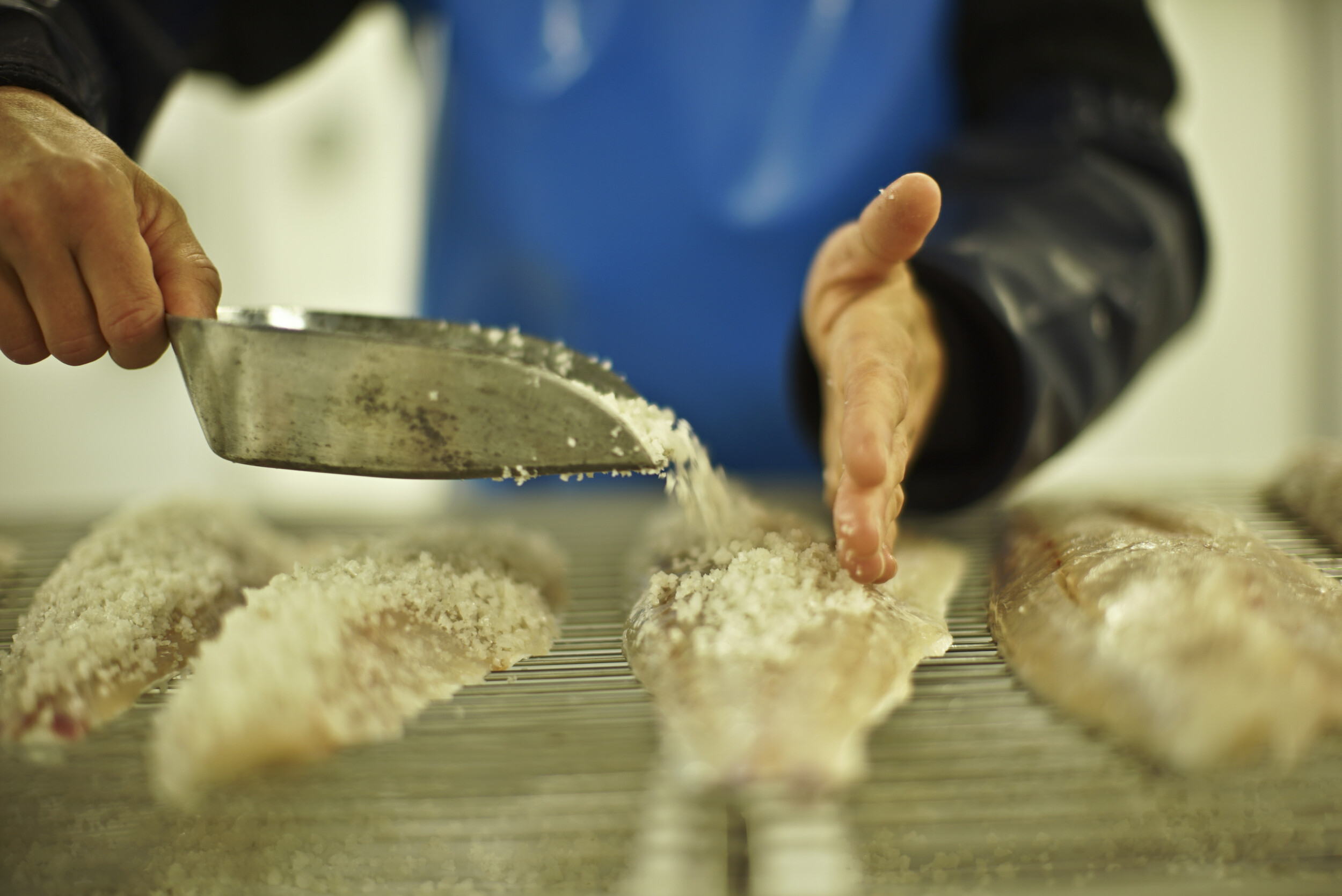 Apprenez à travailler et fumer du poisson sauvage