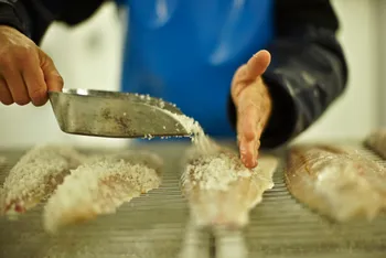 Apprenez à travailler et fumer du poisson sauvage