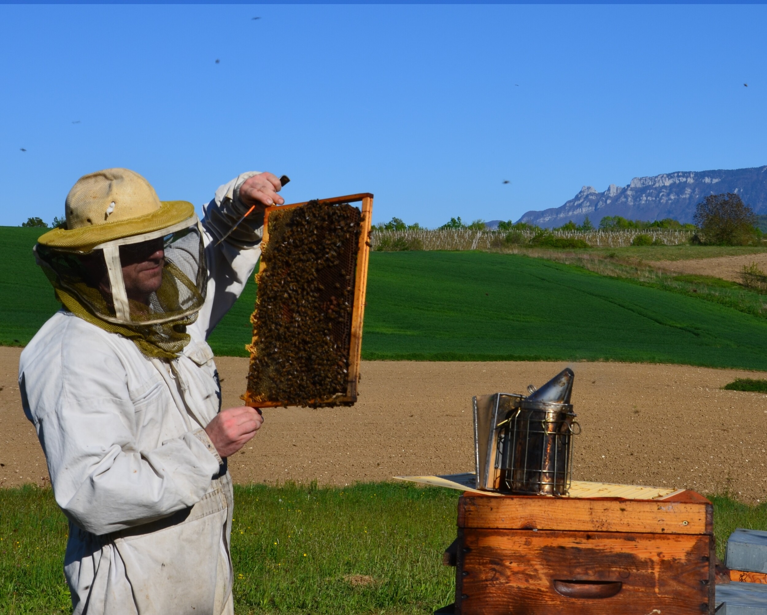 Passez la journée avec un apiculteur et ses abeilles à Annecy