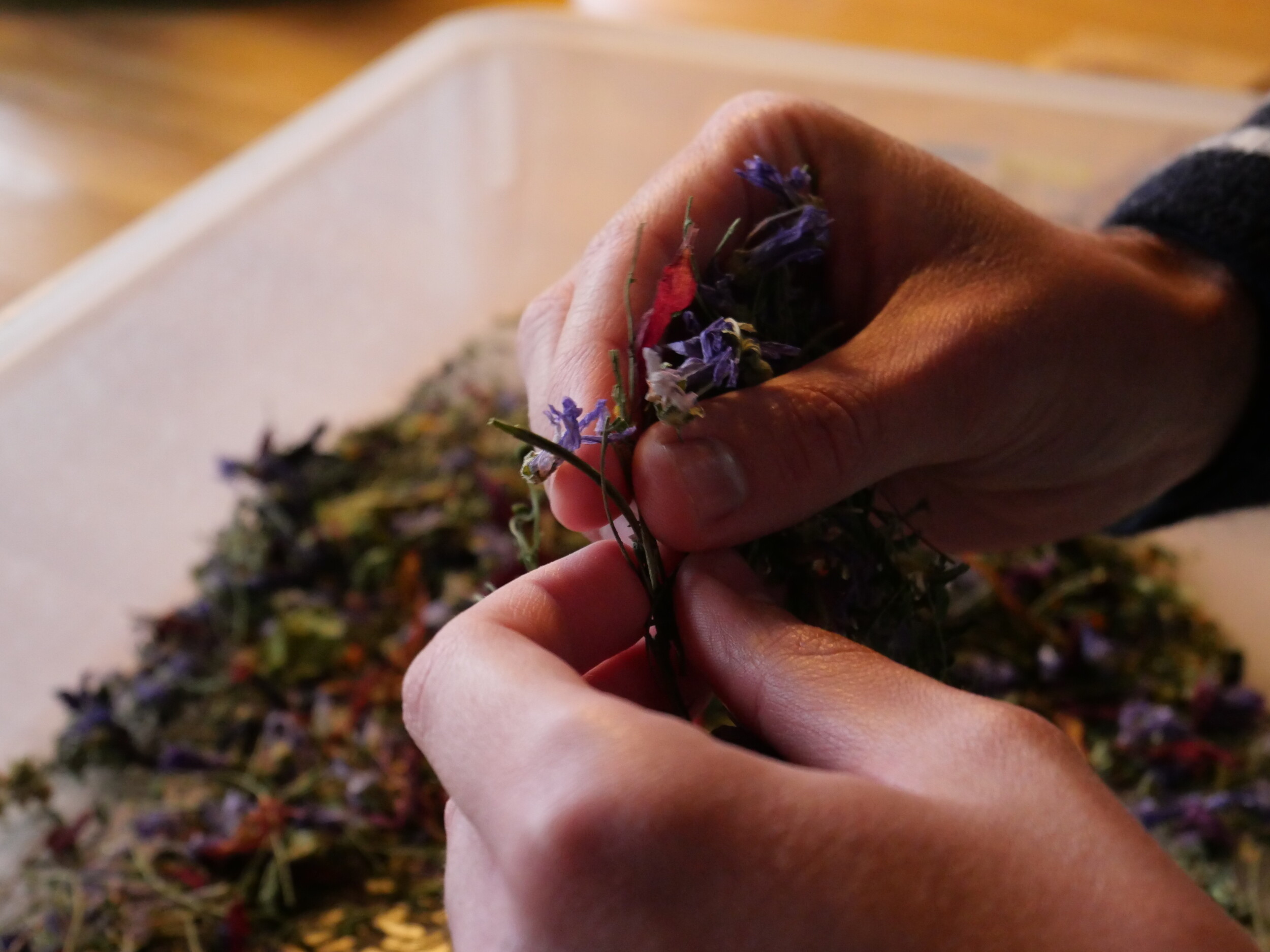 Réalisez votre tisane dans une ferme urbaine