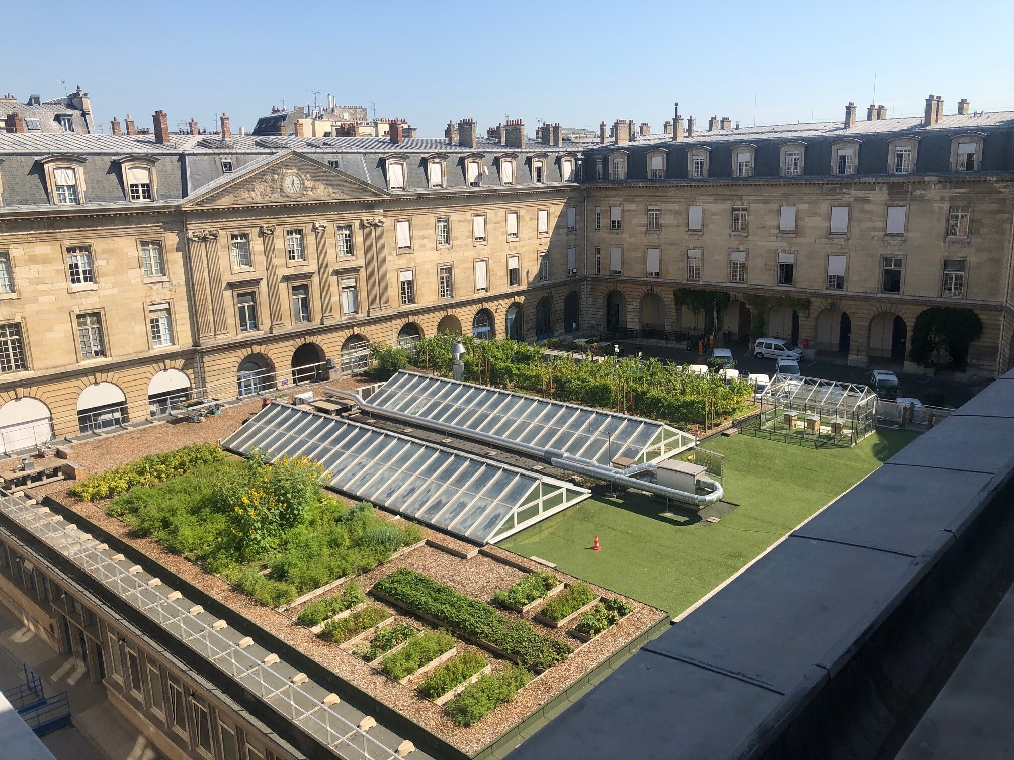 Initiez-vous à la viticulture sur les toits de Paris
