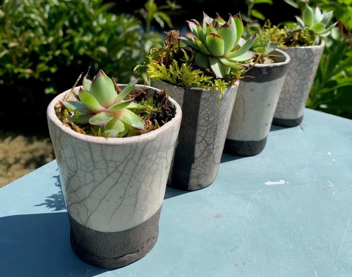 Initiez-vous au raku