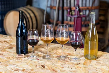 Wecandoo - Visitez un chai urbain et dégustez des vins locaux