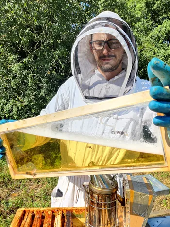 Découvrez l'apiculture