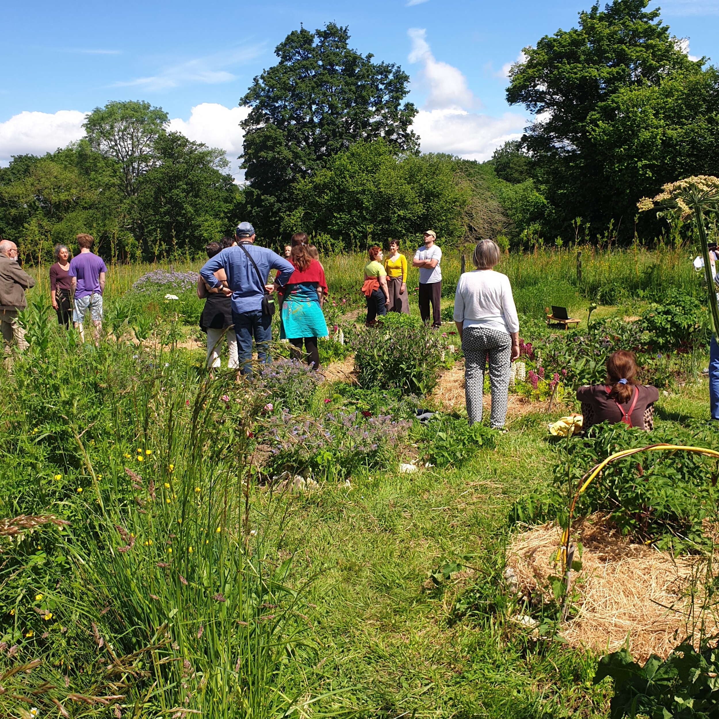 Initiez-vous à la permaculture sur une journée