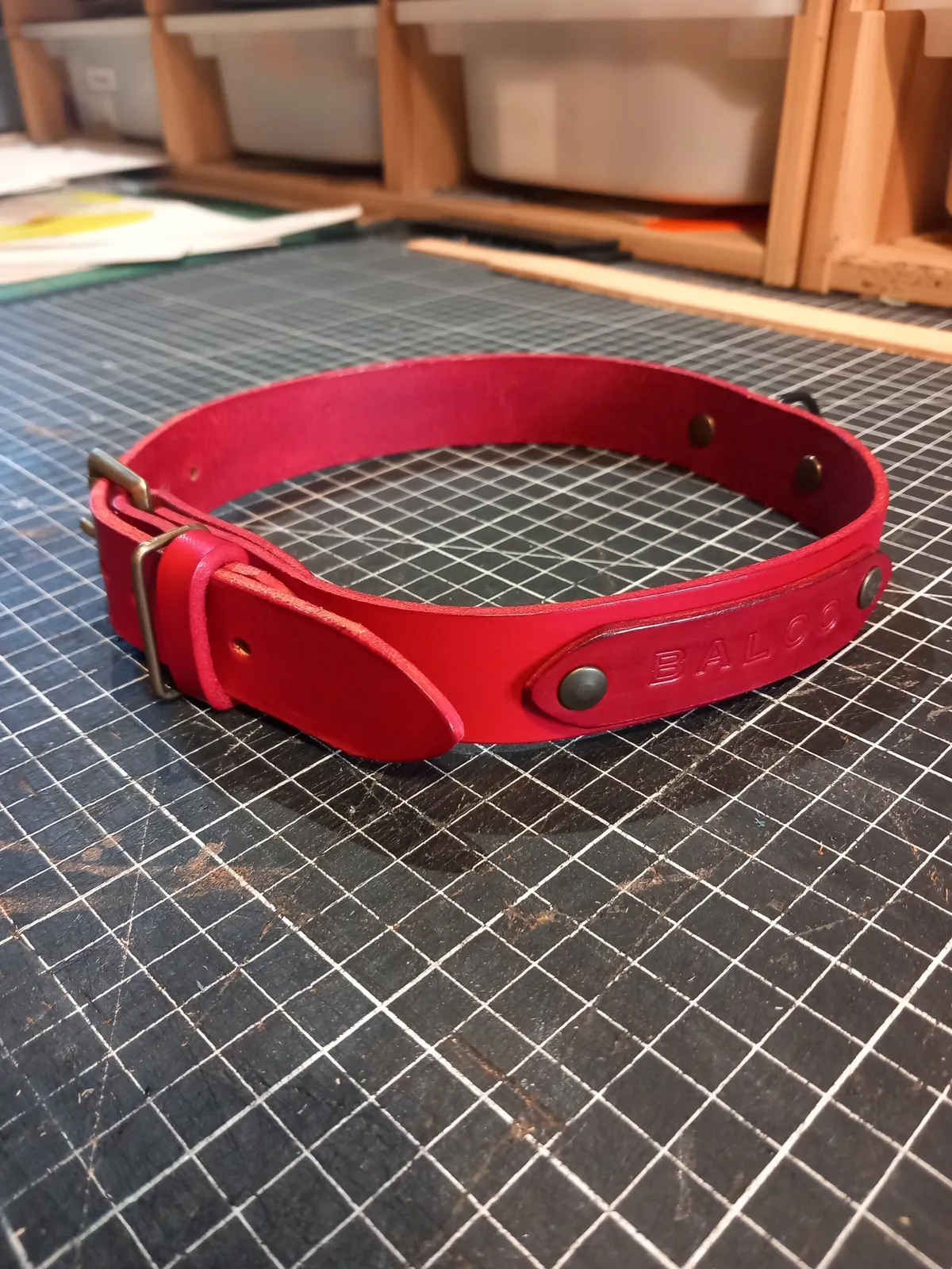 Réalisez un collier pour votre chien