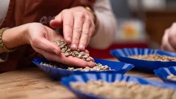 Dégustez du café dans une brûlerie artisanale
