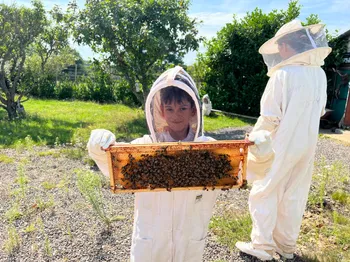 Découvrez le métier d'apiculteur en famille