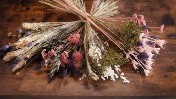 Composez votre bouquet de fleurs séchées