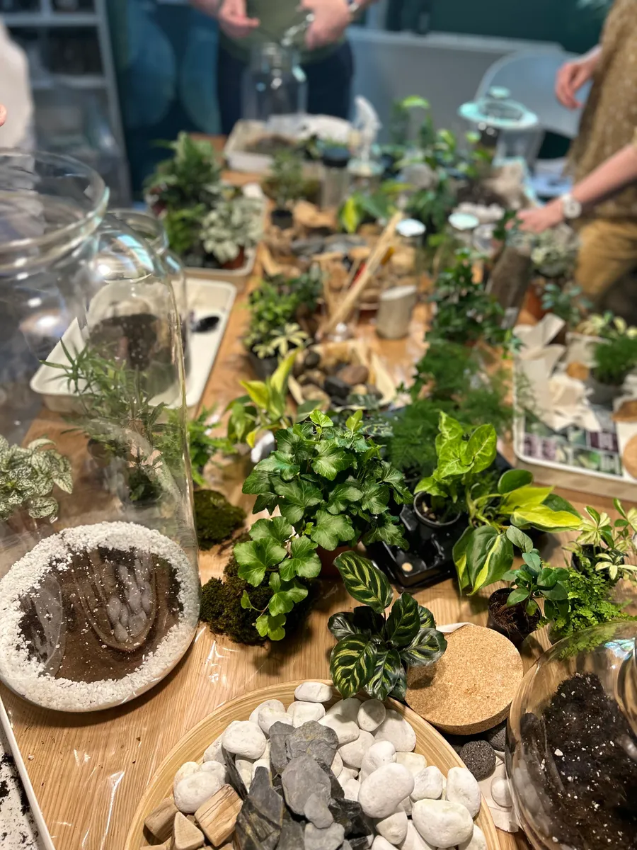 Réalisez votre terrarium - Image n°1 - Wecandoo