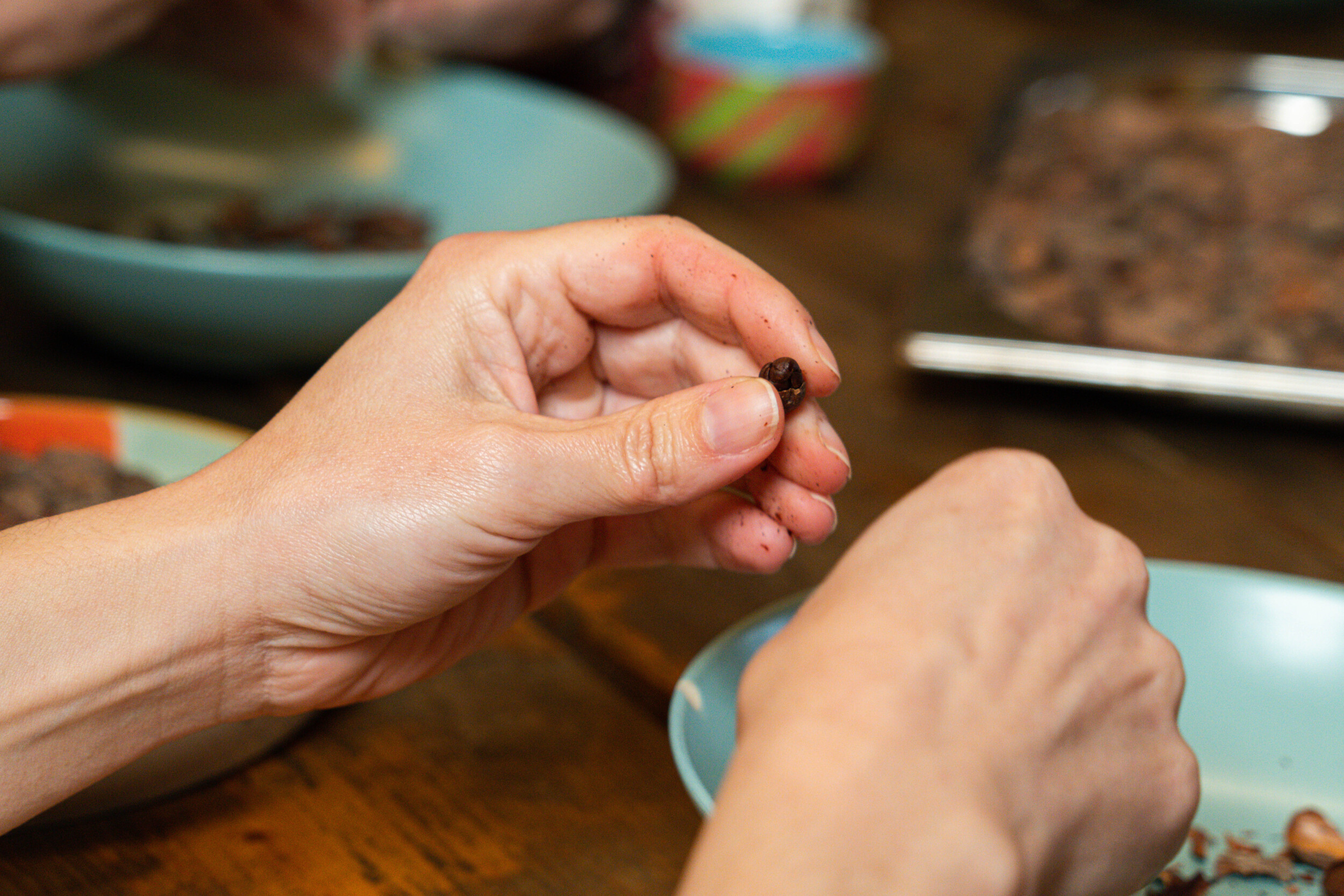 Wecandoo - Learn to make your own chocolate in a chocolate factory - Image n°9