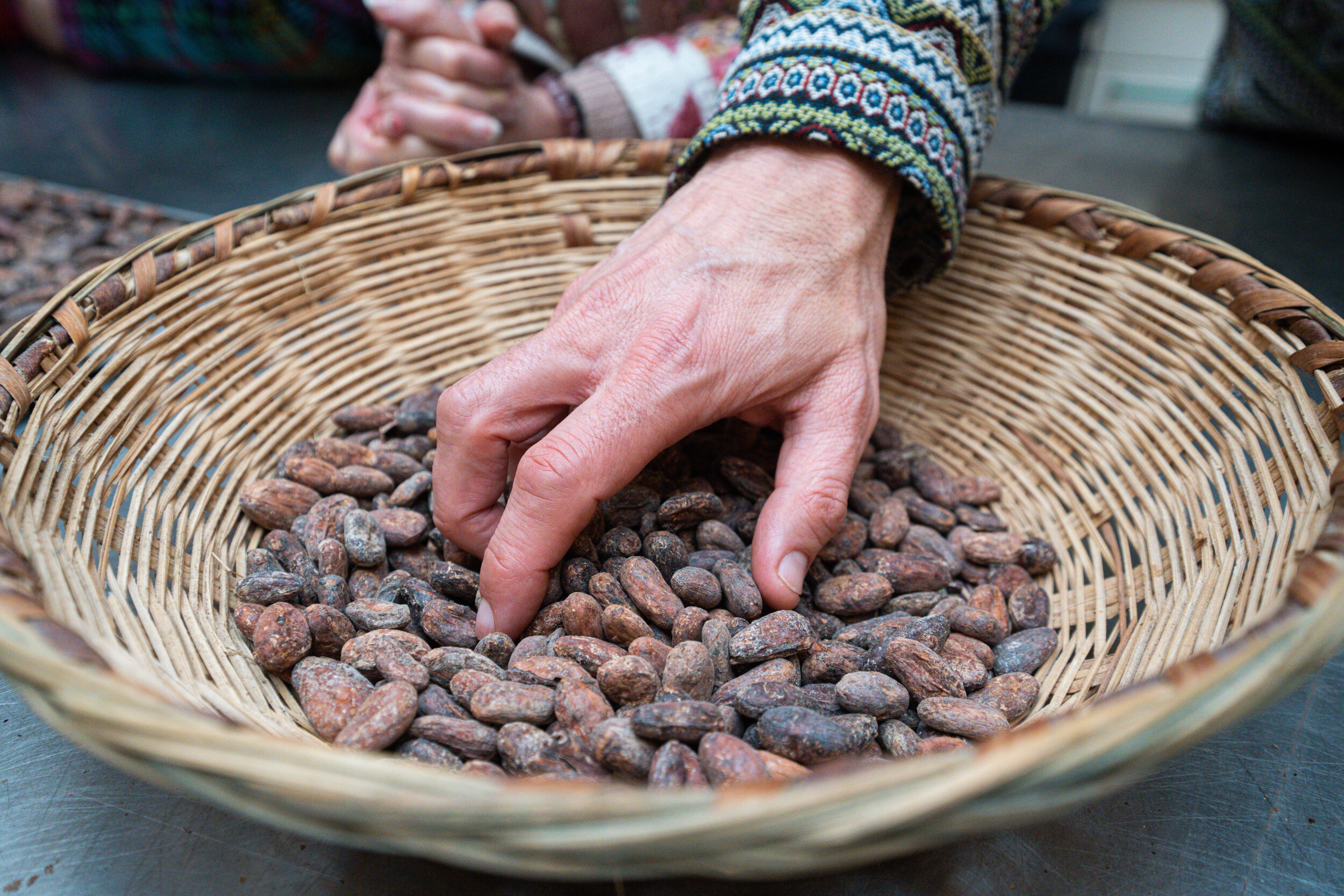 Wecandoo - Taste chocolate + tour at a chocolate factory - Image n°6