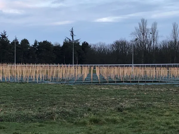 Initiez-vous à la viticulture dans un domaine viticole francilien - Image n°2 - Wecandoo