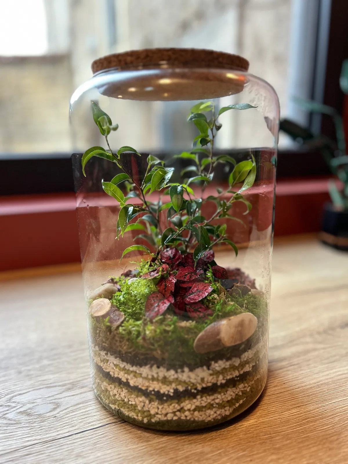 Réalisez votre terrarium