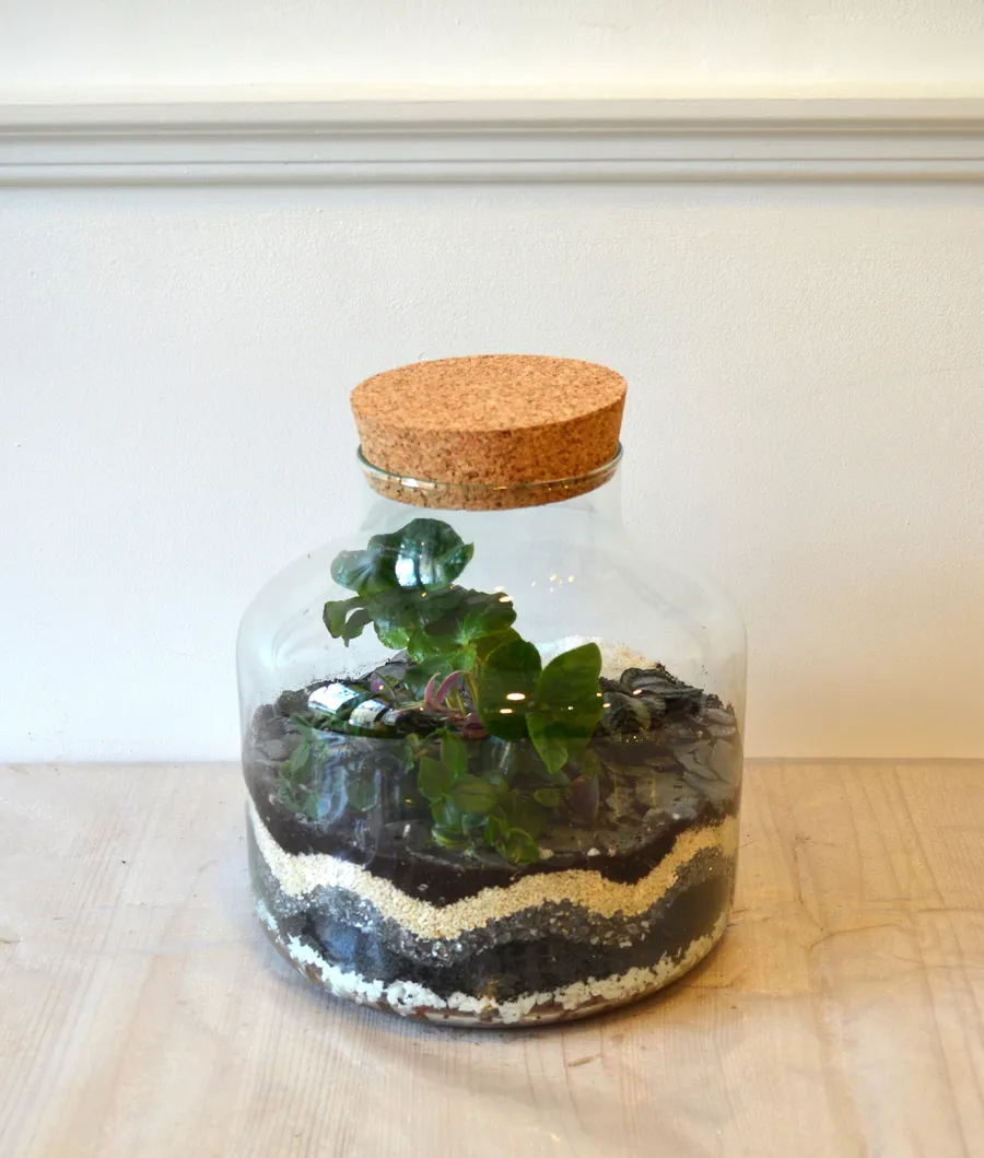 Créez votre terrarium - Image n°1 - Wecandoo