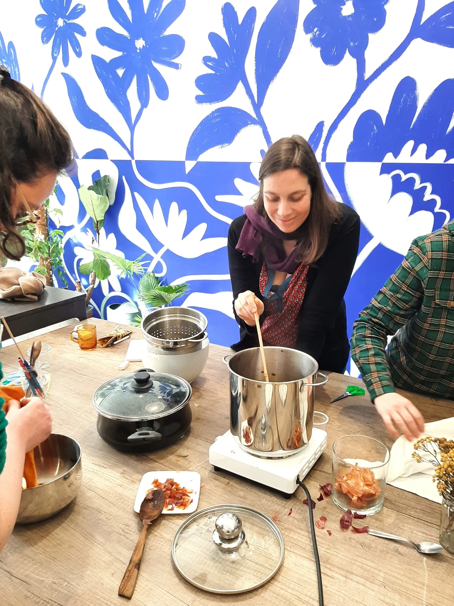 Initiez-vous à la teinture végétale - Image n°1 - Wecandoo