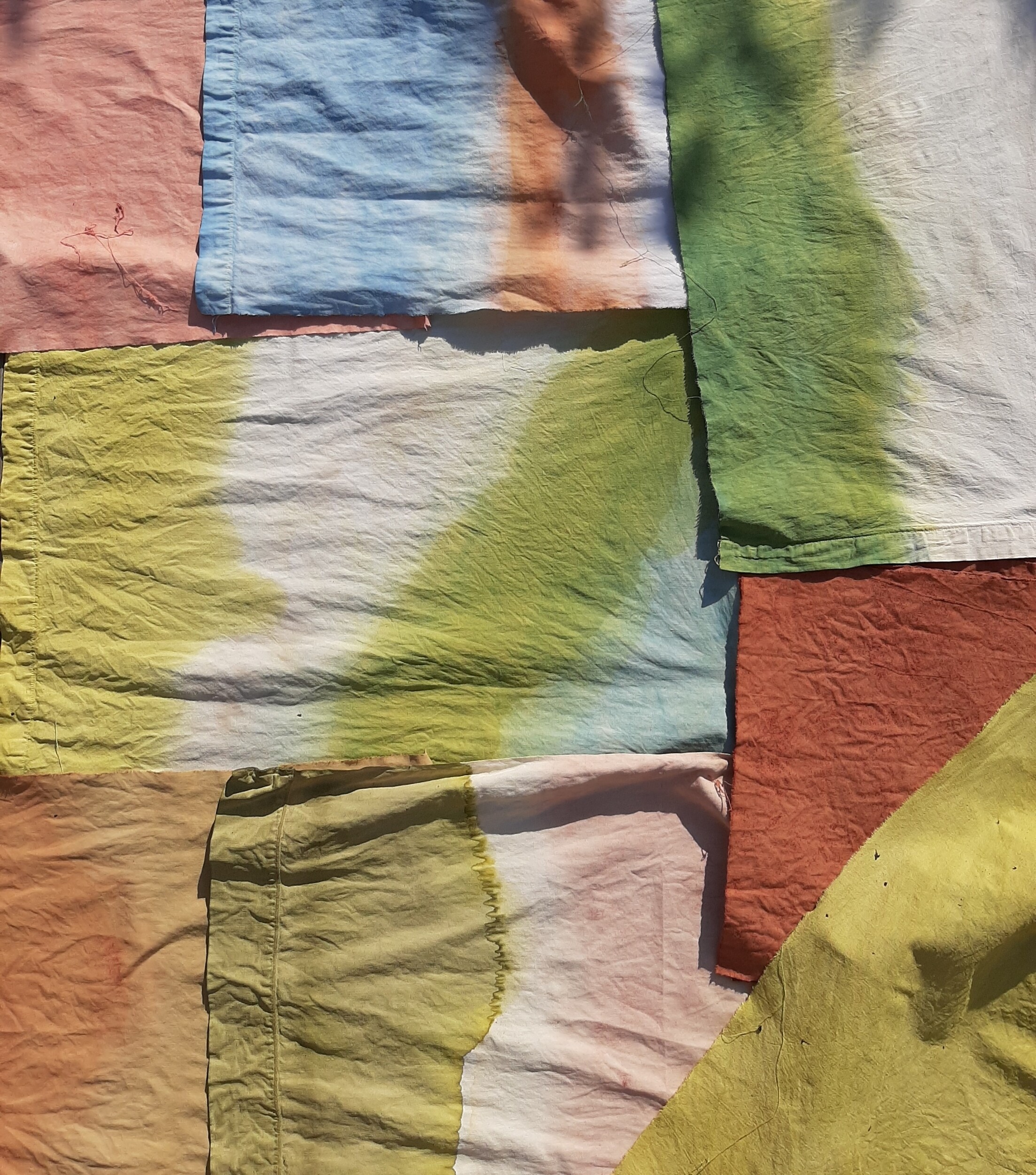 Initiez-vous à la teinture végétale