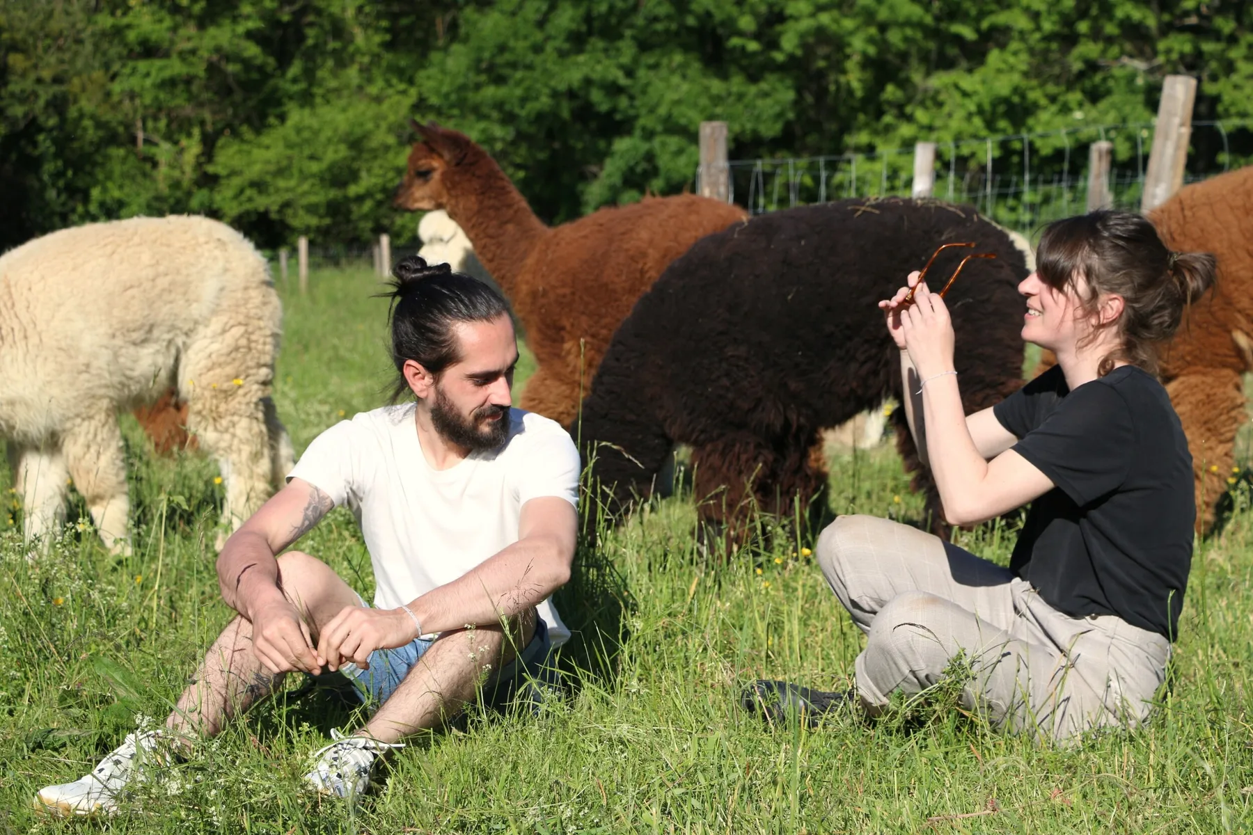 Découvrez un élevage d'alpagas et créez un petit objet en laine - Image n°3 - Wecandoo
