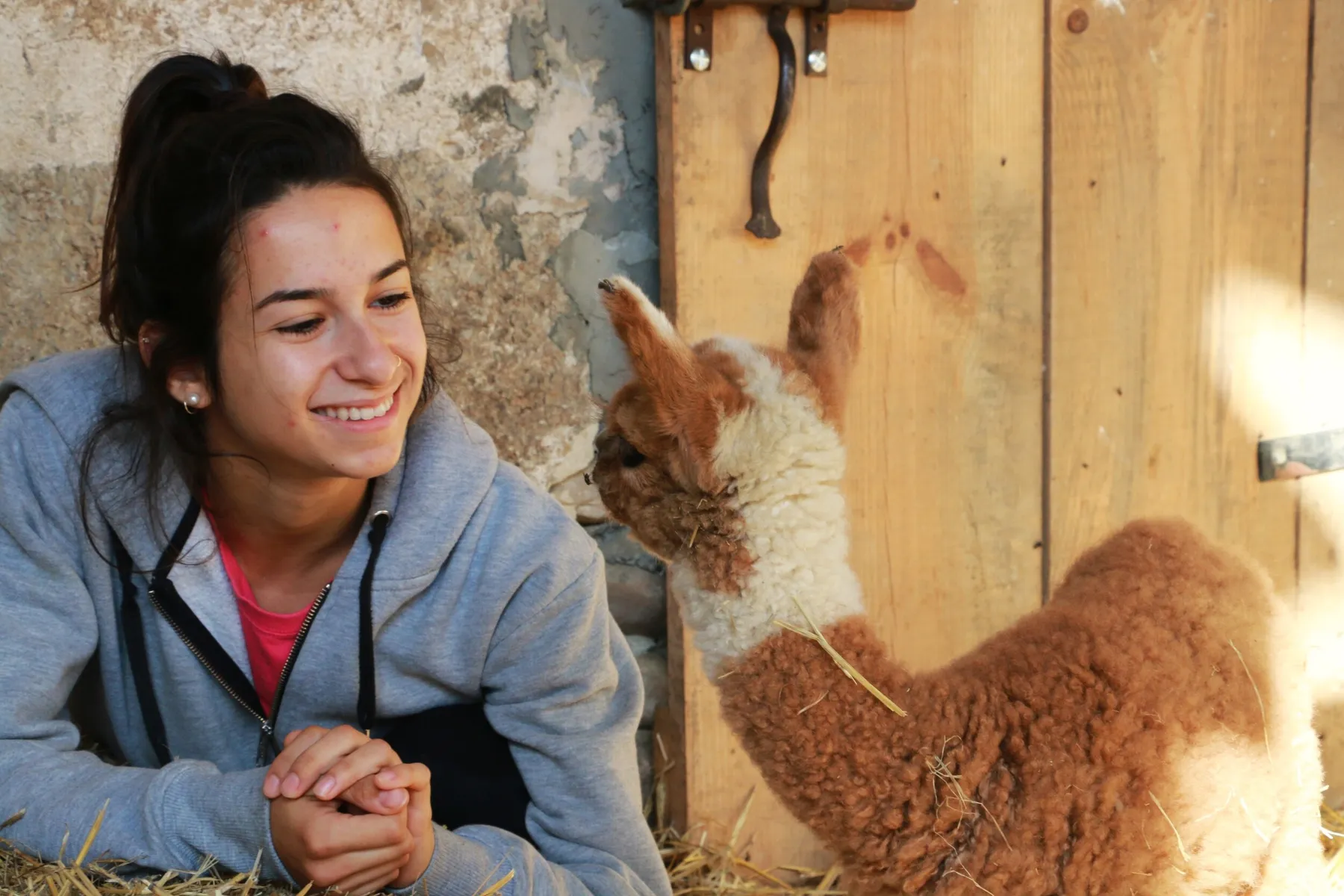 Découvrez un élevage d'alpagas et créez un petit objet en laine - Image n°4 - Wecandoo