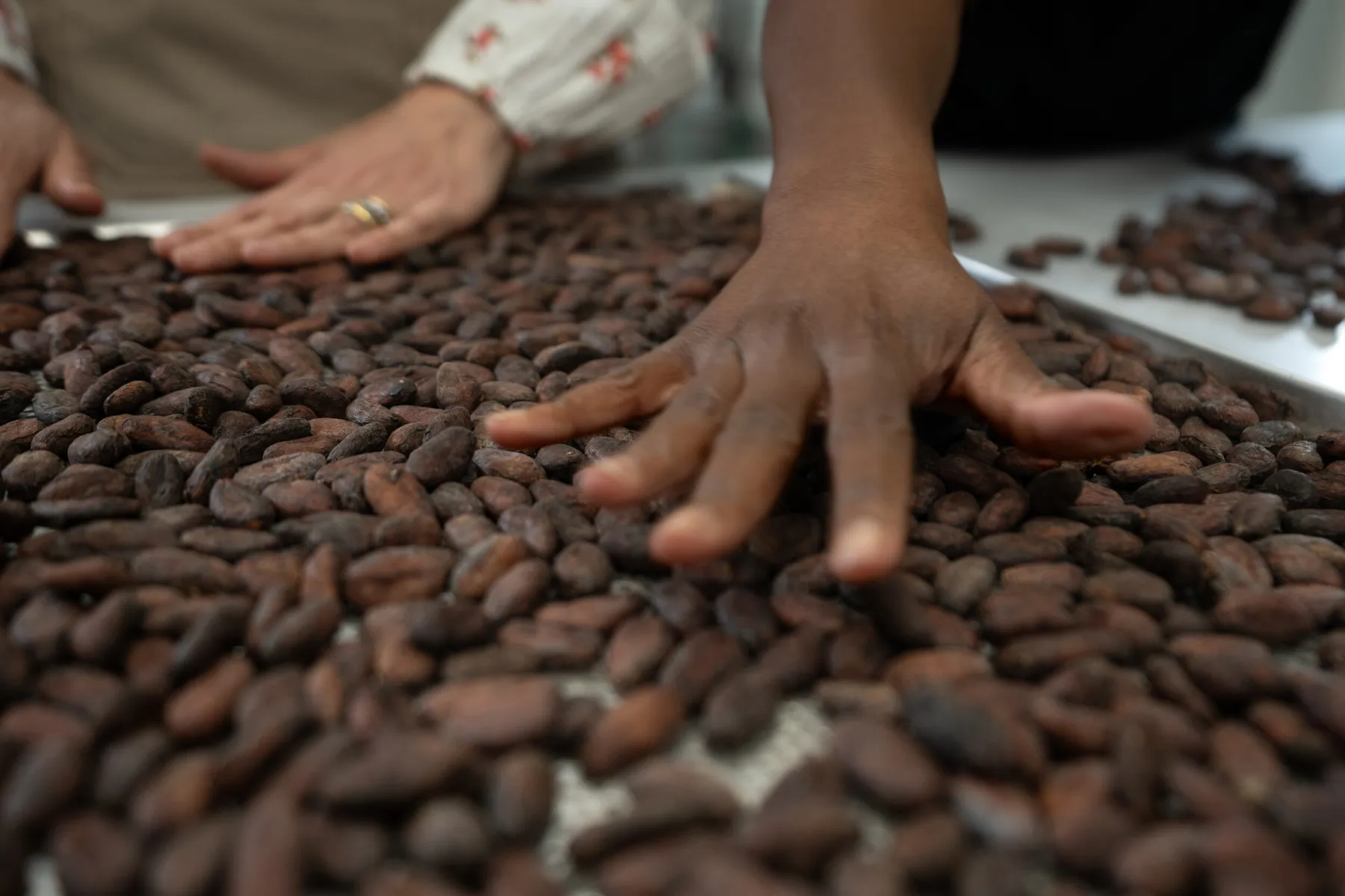 Réalisez votre tablette de chocolat bean to bar - Image n°1 - Wecandoo