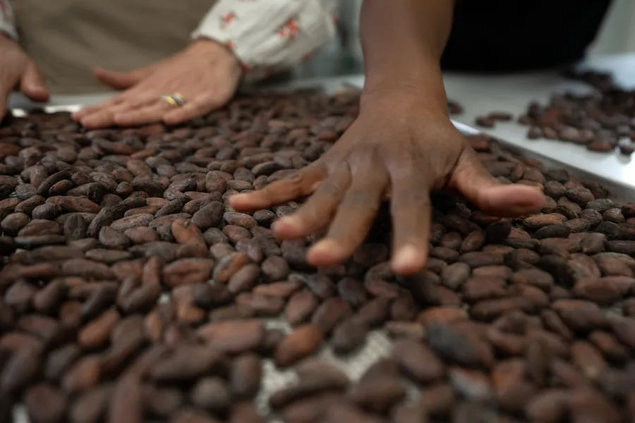 Réalisez votre tablette de chocolat bean to bar - Image n°1 - Wecandoo