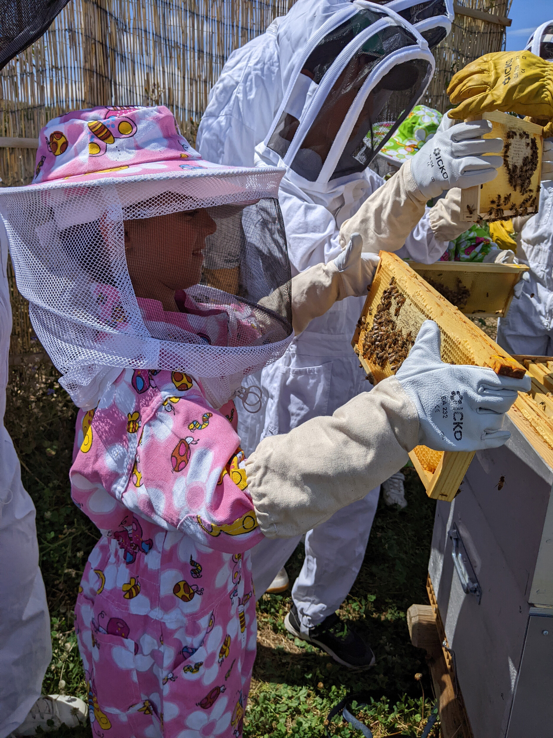 Découvrez l'apiculture en duo avec votre enfant