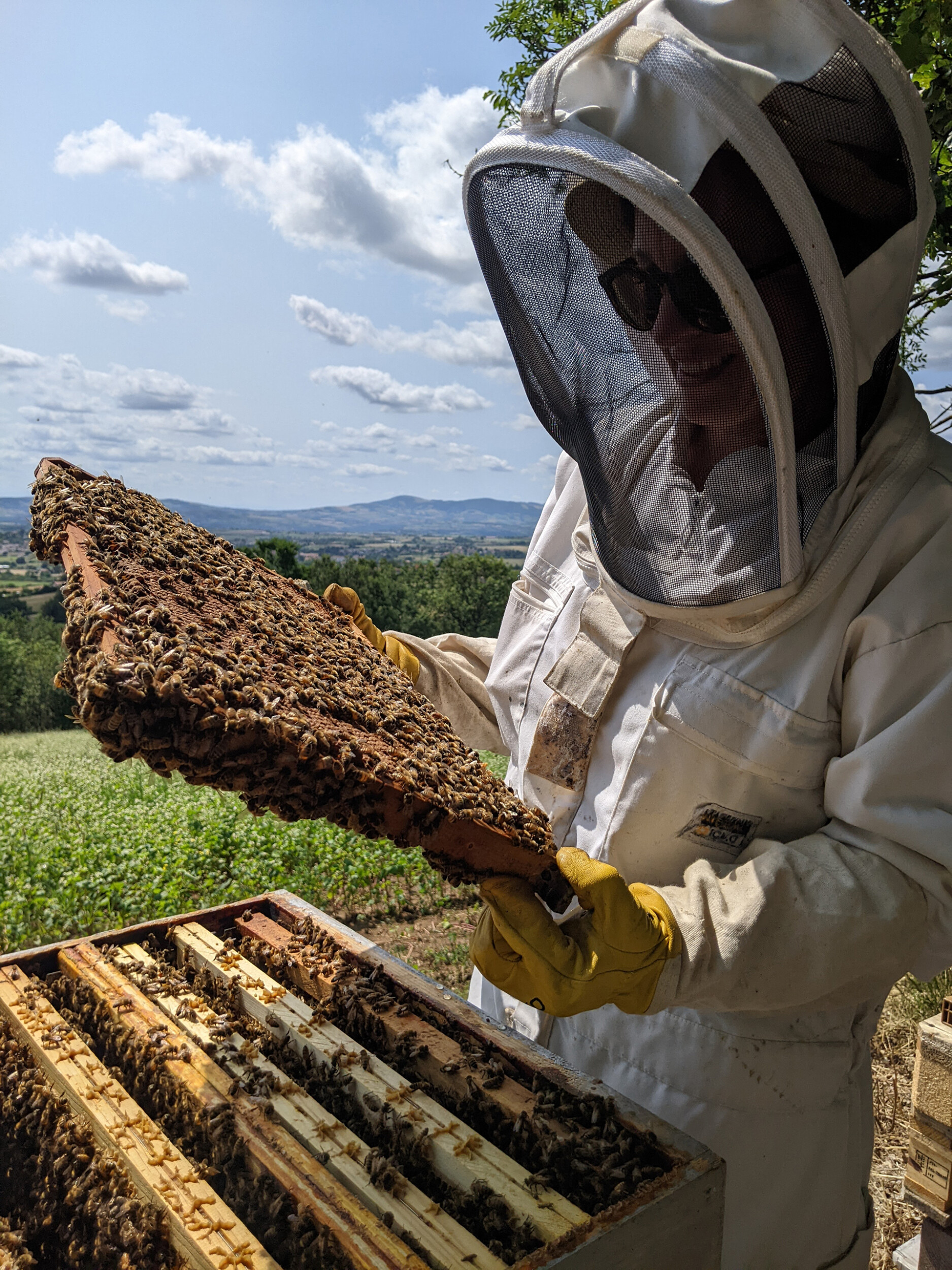 Wecandoo - Découvrez l'apiculture et dégustez du miel et des boissons au miel en duo avec votre enfant - Image n°1