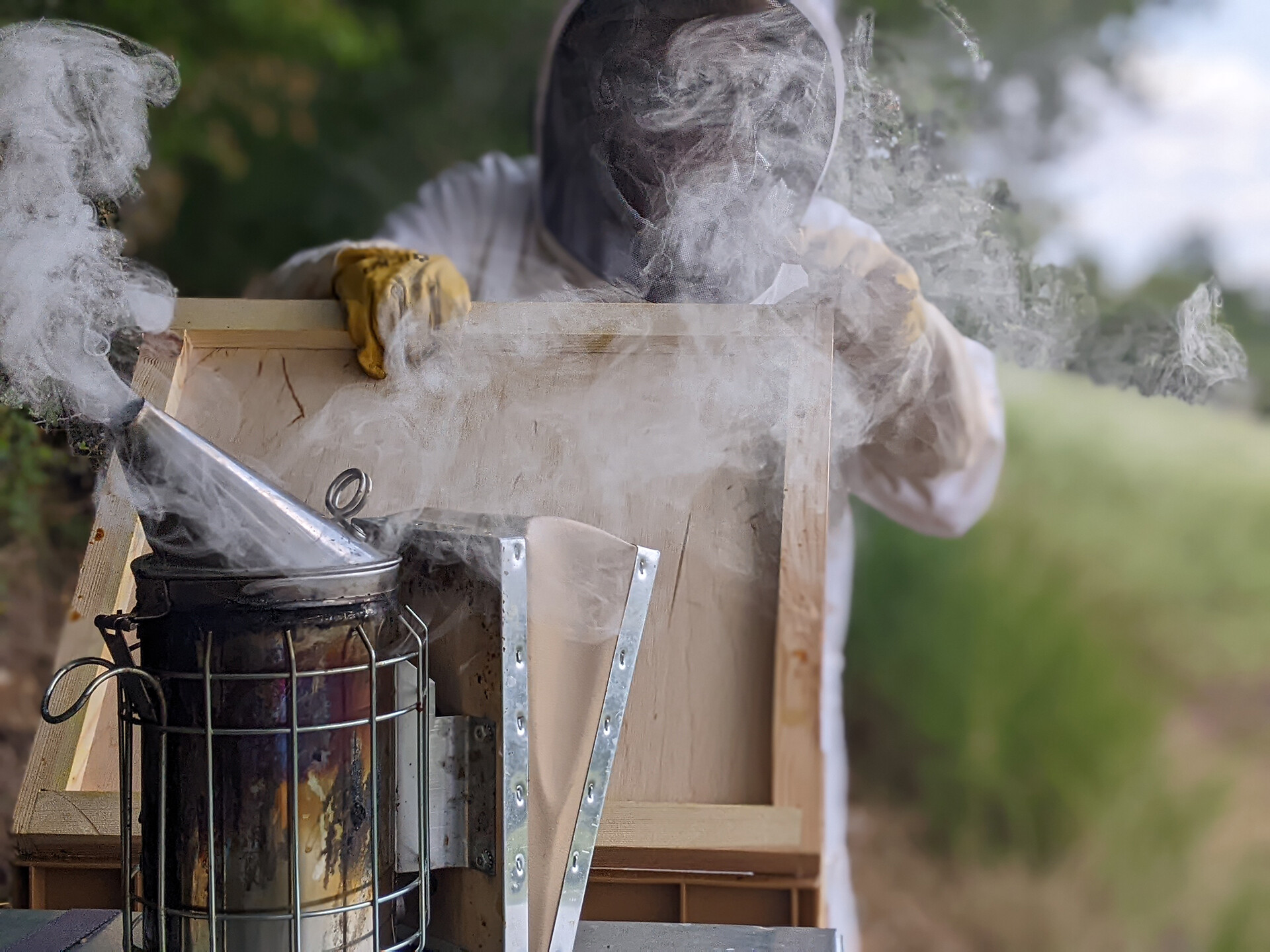 Wecandoo - Découvrez l'apiculture et dégustez du miel et des boissons au miel en duo avec votre enfant - Image n°8