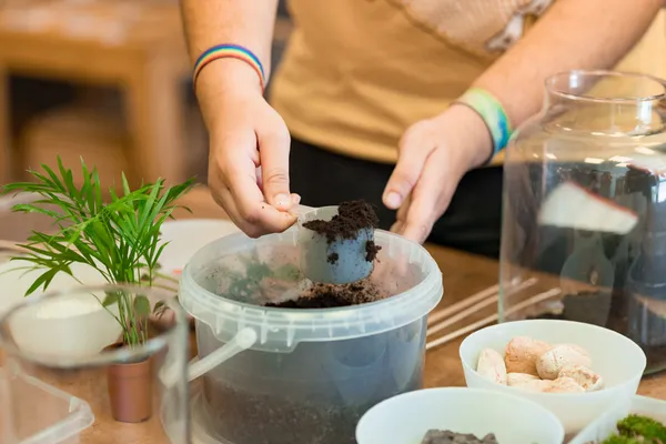 Réalisez votre petit terrarium de taille S avec Guillaume - Afbeelding nr. 2 - Wecandoo
