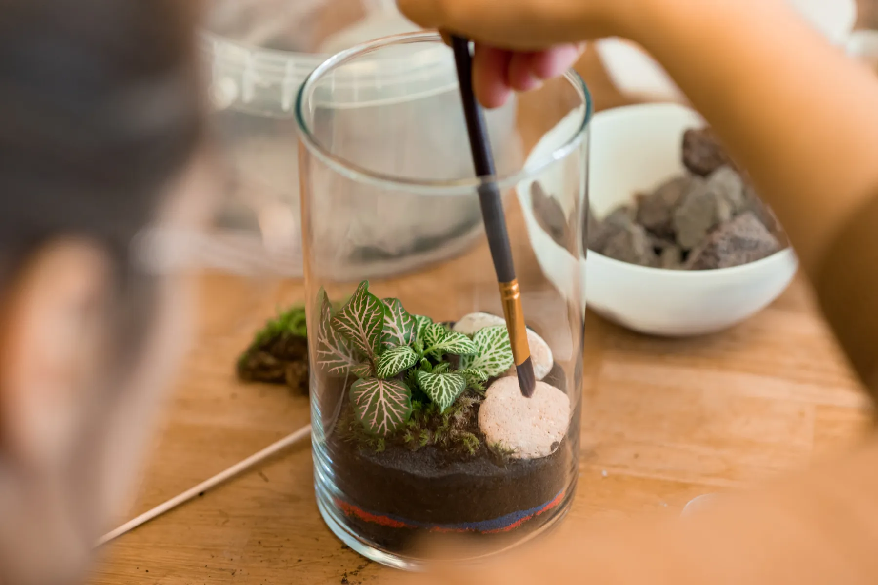 Réalisez votre petit terrarium de taille S avec Guillaume - Image n°4 - Wecandoo