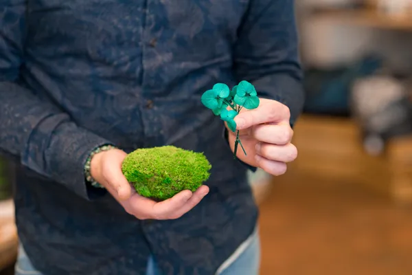 Réalisez votre cadre végétal avec Guillaume - Image n°5 - Wecandoo