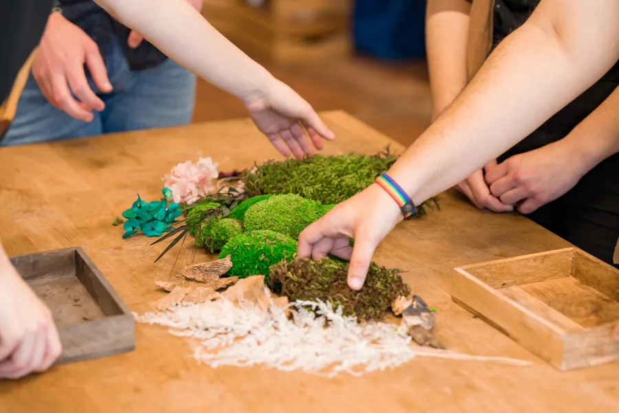 Réalisez votre cadre végétal avec Guillaume - Image n°1 - Wecandoo