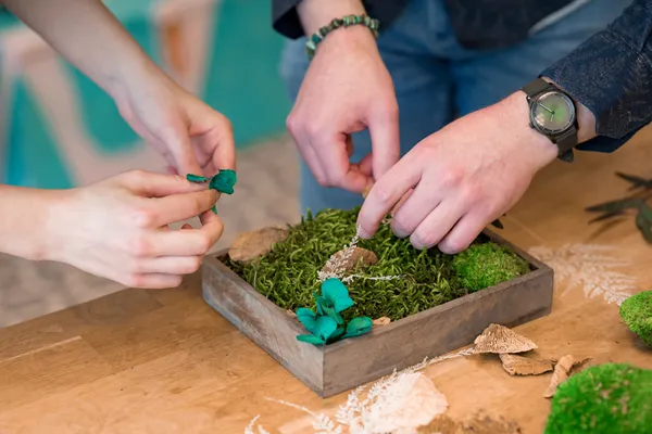 Réalisez votre cadre végétal avec Guillaume - Image n°3 - Wecandoo