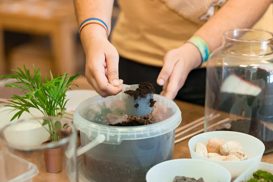 Créez votre terrarium de taille M avec Guillaume - Image n°1 - Wecandoo