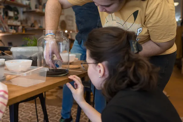 Créez votre terrarium de taille M avec Guillaume - Image n°2 - Wecandoo