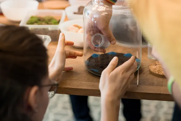 Créez votre terrarium de taille M avec Guillaume - Image n°3 - Wecandoo