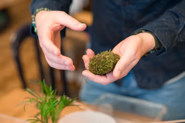 Créez votre terrarium de taille M avec Guillaume - Image n°4 - Wecandoo