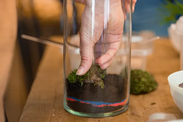 Réalisez votre petit terrarium dans votre lieu - Image n°5 - Wecandoo