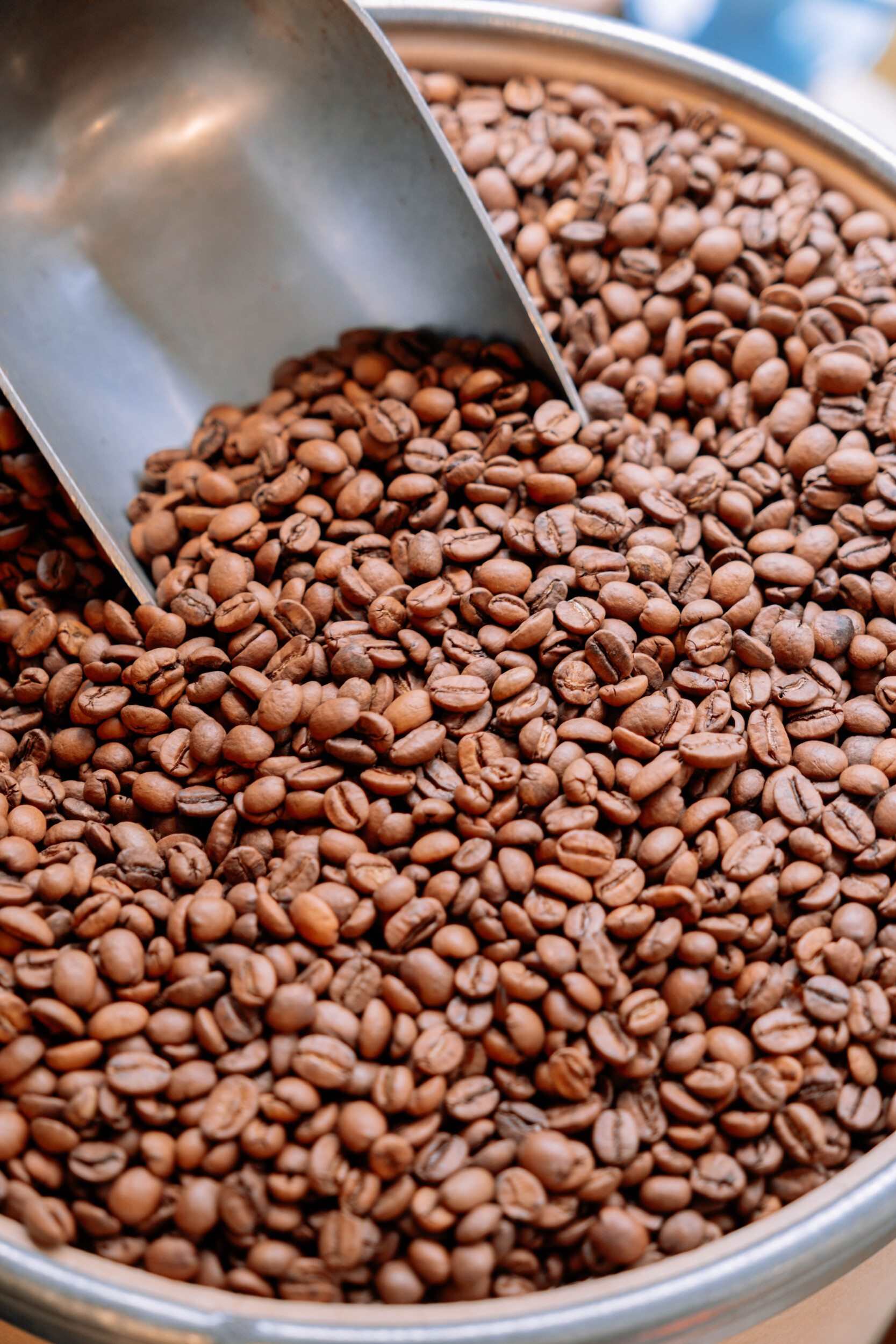 Découvrez la torréfaction du café