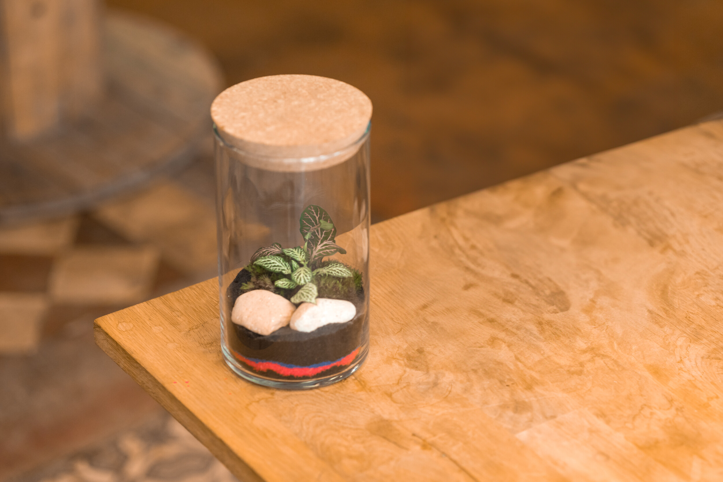 Réalisez votre petit terrarium (taille S)
