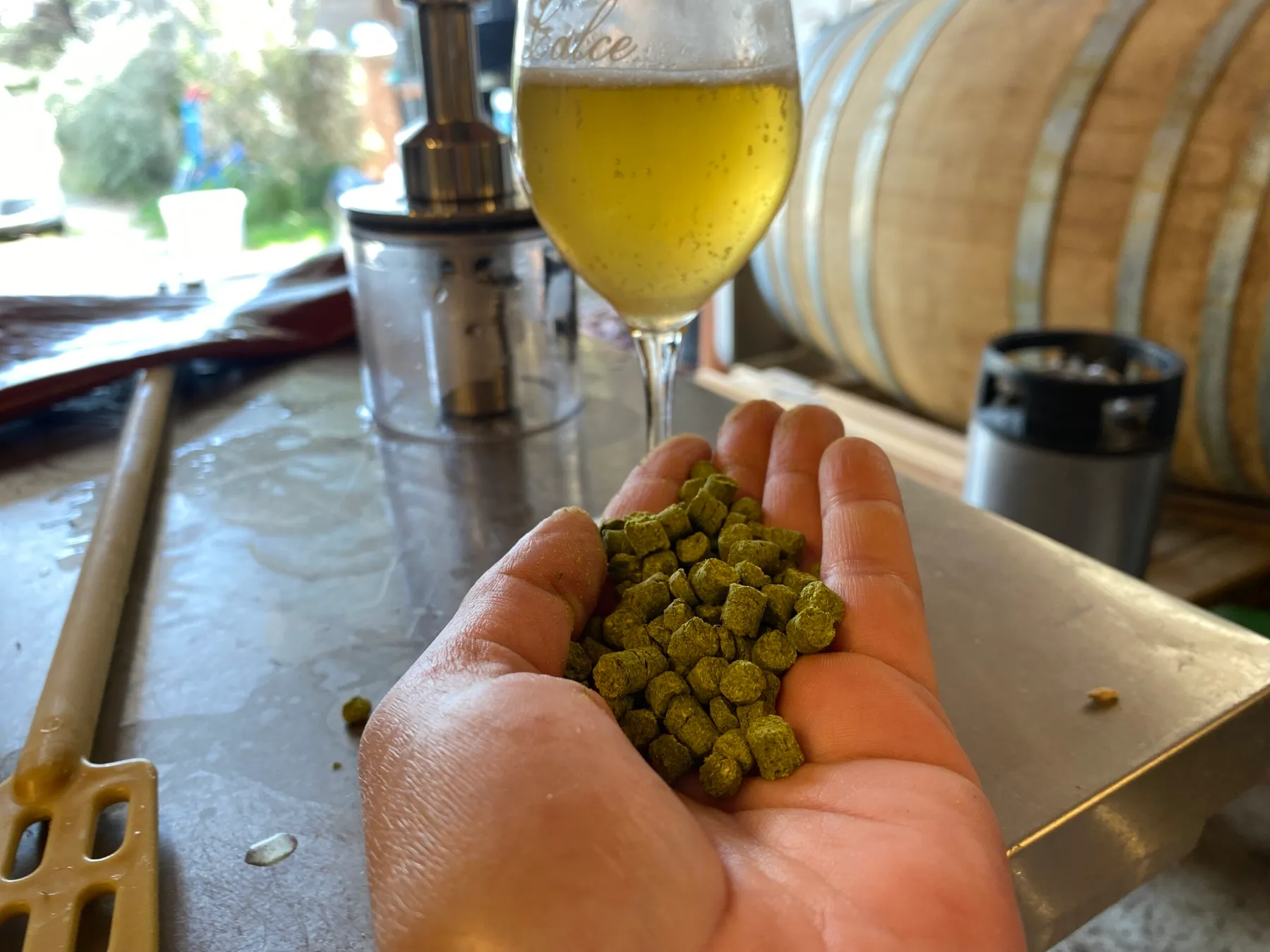 Visitez une brasserie et dégustez des bières de saison avec Roberta et Gordon - Image n°4 - Wecandoo