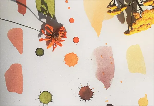 Réalisez vos encres naturelles - Afbeelding nr. 3 - Wecandoo